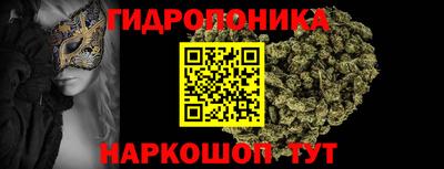 гашик Канаш