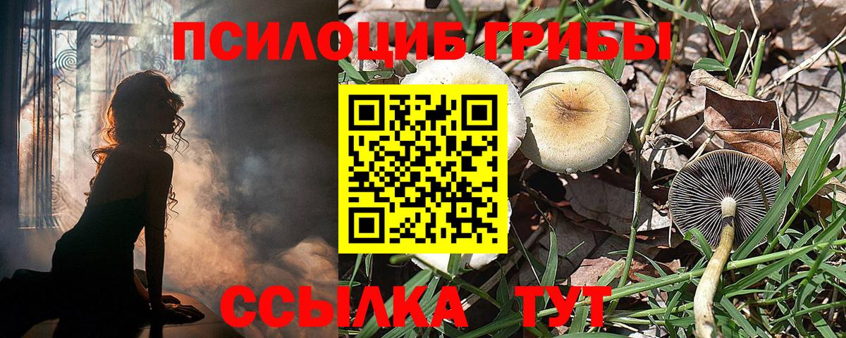 Псилоцибиновые грибы MAGIC MUSHROOMS Камышин