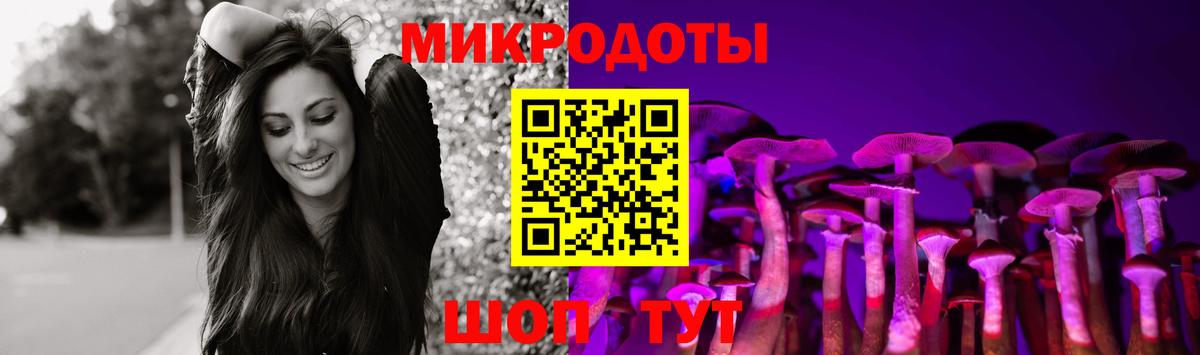 Камышин  Псилоцибиновые грибы Cubensis  Вход с VPN  Псилоцибиновые грибы MAGIC MUSHROOMS 